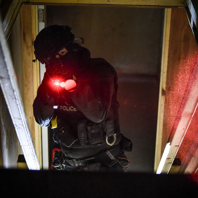 ProTac Rail Mount HL-X Laser