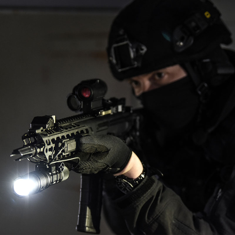 ProTac Rail Mount HL-X Laser