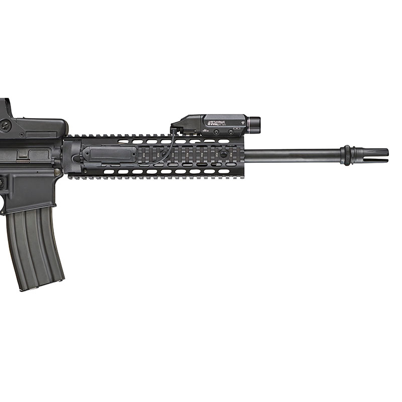 TLR RM 2 on Long Gun